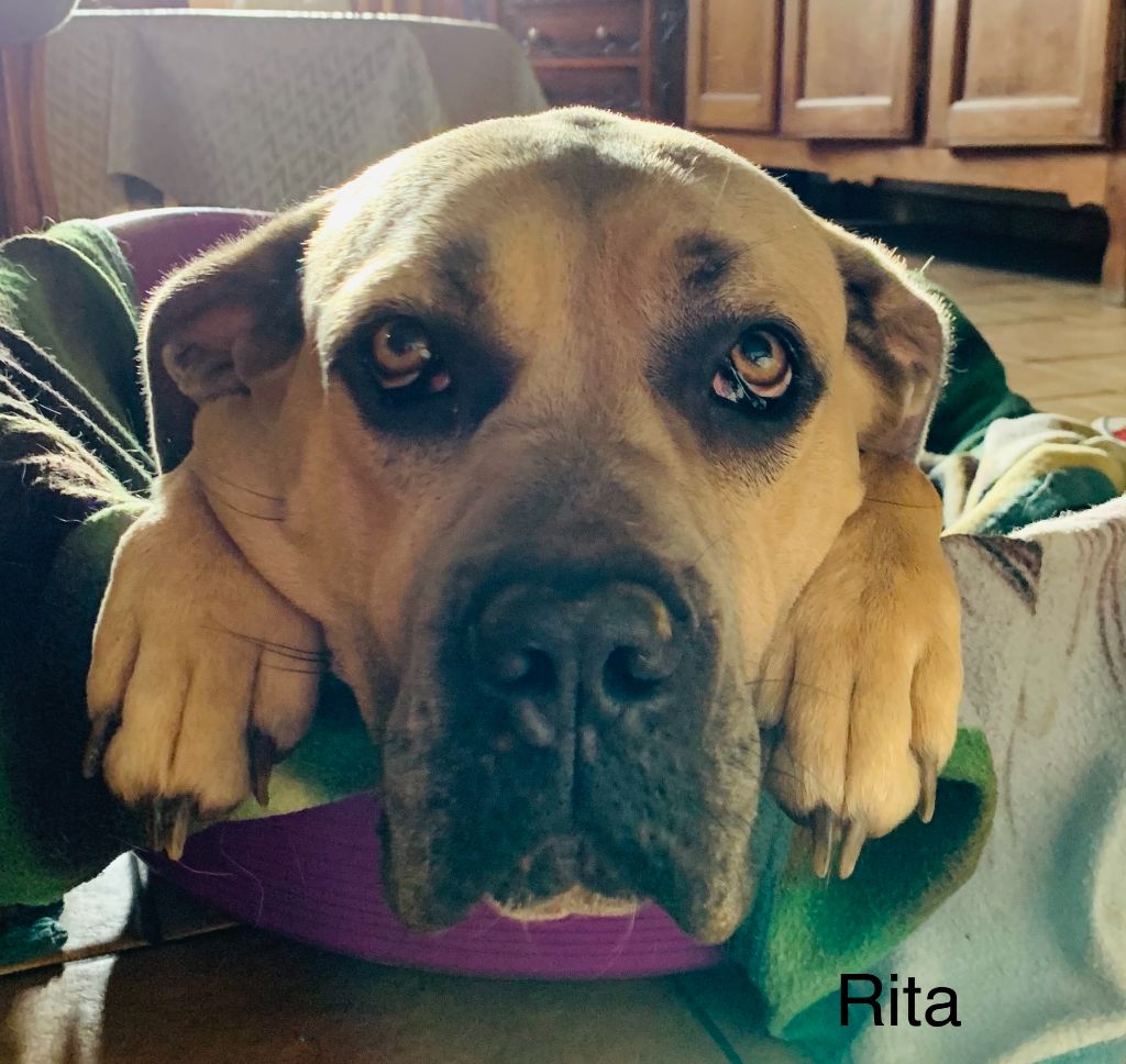 Rita (Sans Affixe)